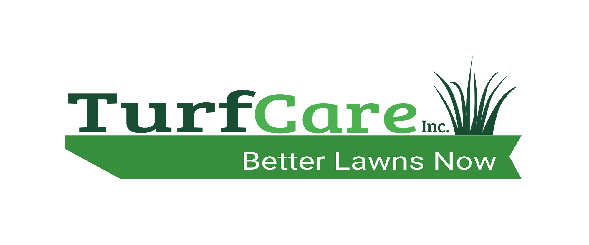Christmas Lighting Lawn Mower Repair and Service and sales